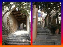 183 D24 BORMES LES MIMOSAS 2_000030